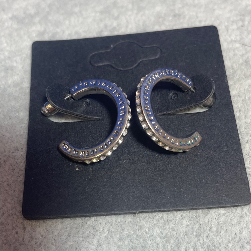 Elegant Stainless Steel hoop earrings.  Post style with crystals